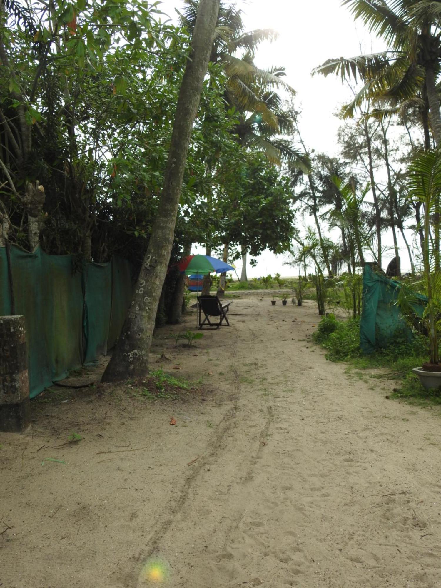 Shoreline Marari Beach Villa At Golden Beach Mararikulam Alappuzha 外观 照片