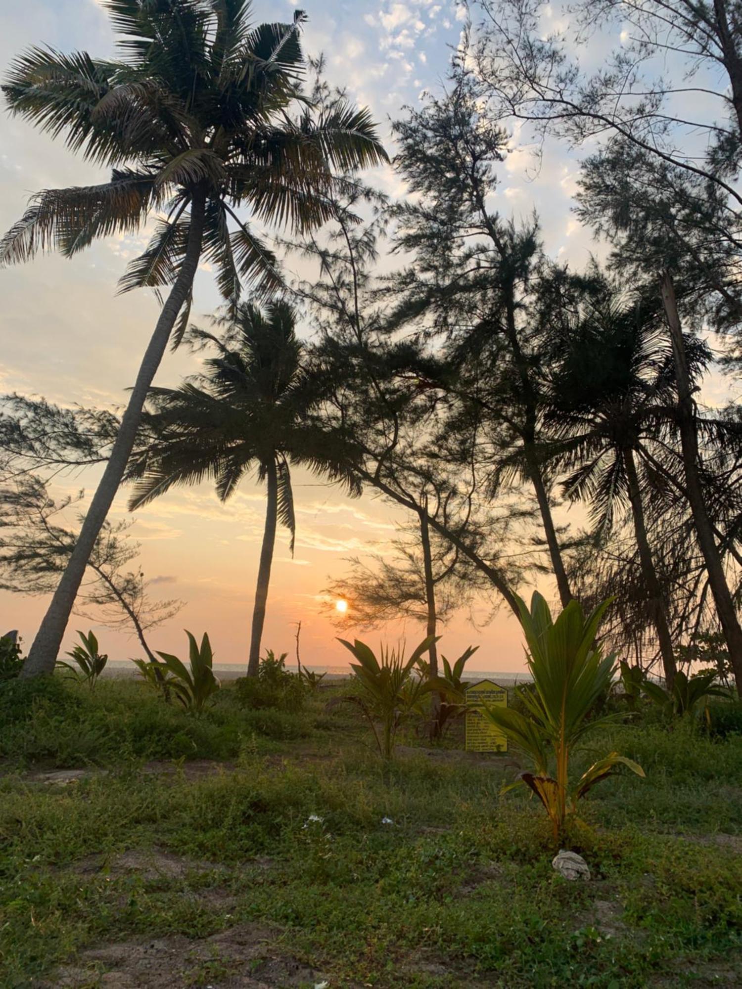 Shoreline Marari Beach Villa At Golden Beach Mararikulam Alappuzha 外观 照片