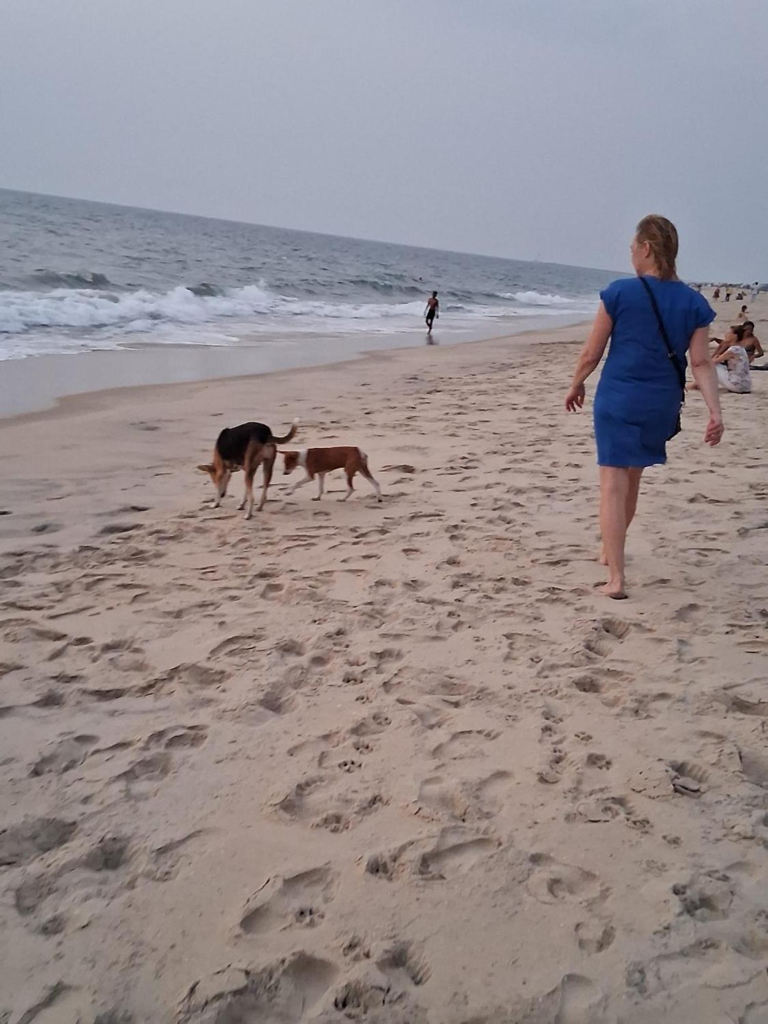 Shoreline Marari Beach Villa At Golden Beach Mararikulam Alappuzha 外观 照片