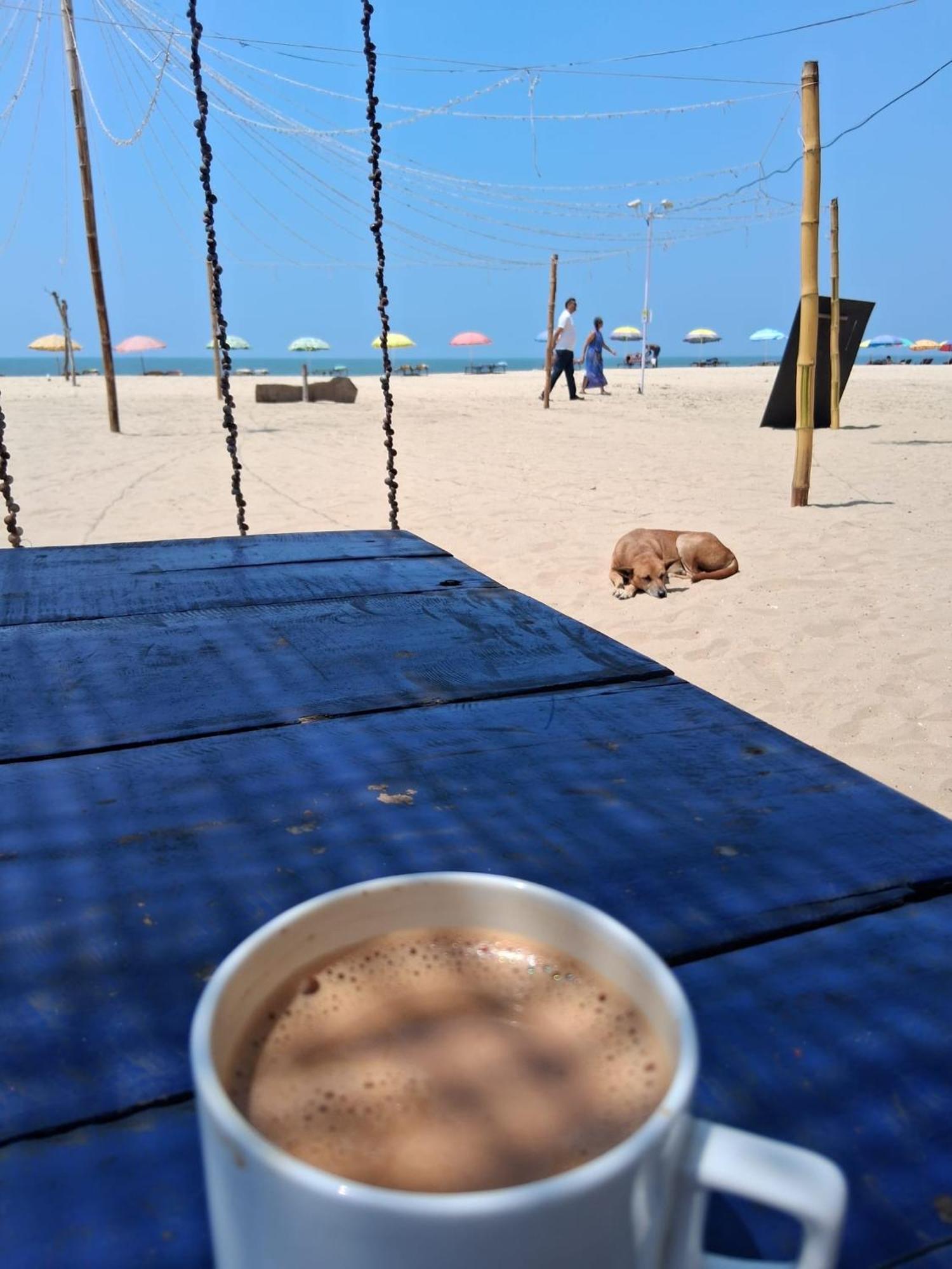 Shoreline Marari Beach Villa At Golden Beach Mararikulam Alappuzha 外观 照片